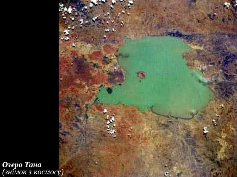 Озеро Тана (знімок з космосу)