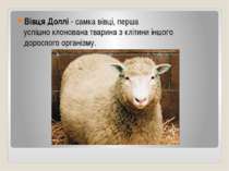 Вівця Доллі - самка вівці, перша успішно клонована тварина з клітини іншого д...