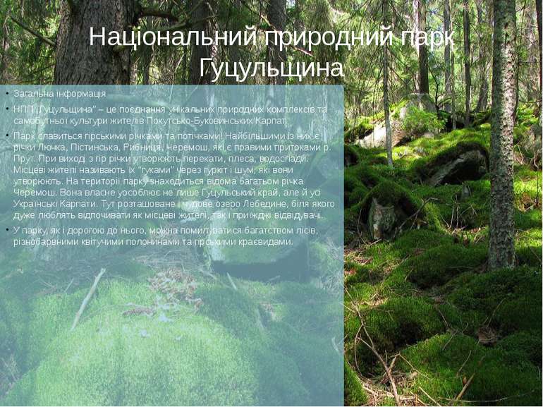 Національний природний парк Гуцульщина Загальна інформація НПП „Гуцульщина” –...