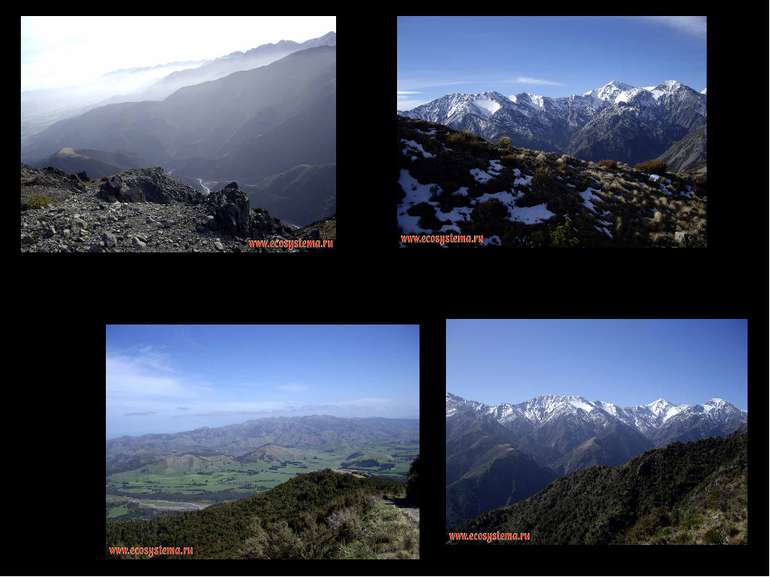 Гори “Приморський Кайкур” в зоні альпійських лугів (1200-1500 м над рівнем мо...