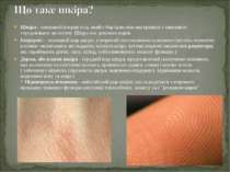 Шкіра - зовнішній покрив тіла, який є бар'єром між внутрішнім і зовнішнім сер...