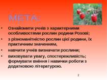 Ознайомити учнів з характерними особливостями рослин родини Розові; з різнома...