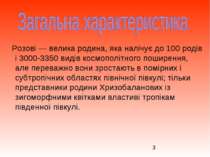 Розові — велика родина, яка налічує до 100 родів і 3000-3350 видів космополіт...