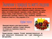 Практичне значення родини дуже велике. До неї належать важливі плодові культу...