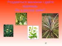 Роздивіться малюнки і дайте відповідь Які з рослин зайві?