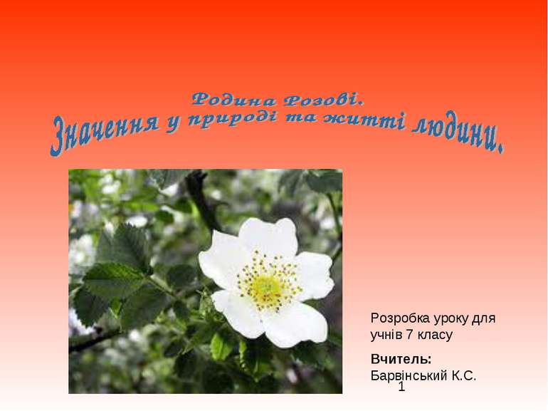 Розробка уроку для учнів 7 класу Вчитель: Барвінський К.С.