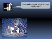 If you had to commit any crime, what would you do?