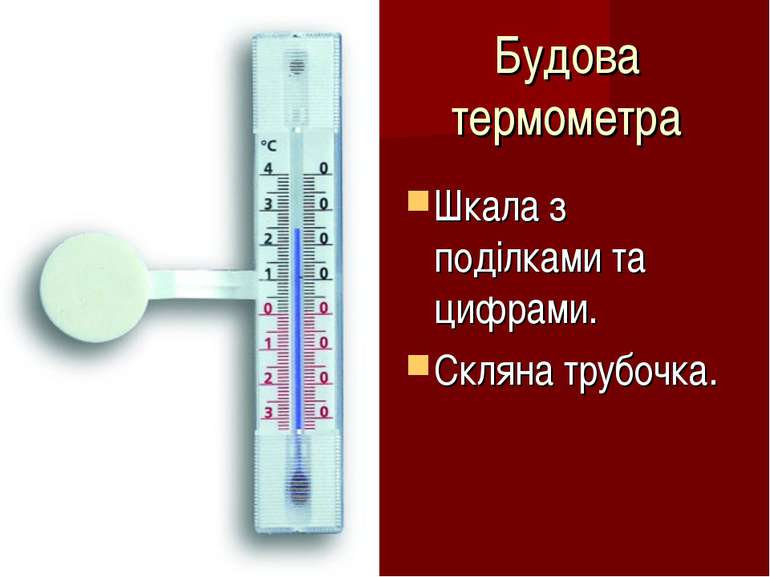 Будова термометра Шкала з поділками та цифрами. Скляна трубочка.