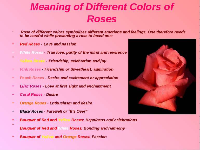 Meaning of Different Colors of Roses Rose of different colors symbolizes diff...