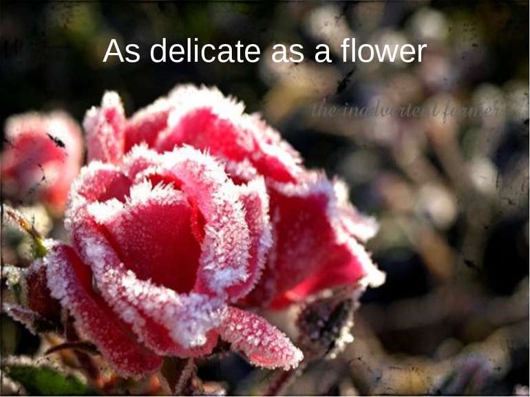 As delicate as a flower