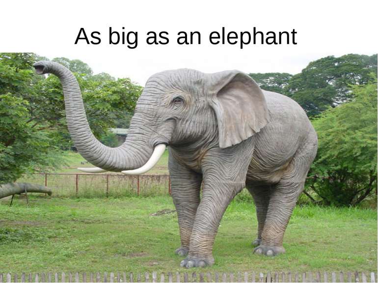 As big as an elephant