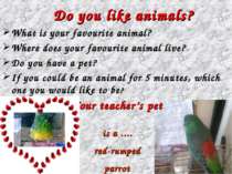 Do you like animals? What is your favourite animal? Where does your favourite...
