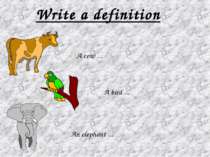 Write a definition An elephant ... A bird ... A cow ...