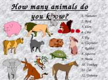 How many animals do you know? 1. Hamster 2. Bird 3. Lion 4. Cow 5. Pig 6. Ele...