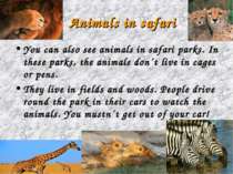 Animals in safari You can also see animals in safari parks. In these parks, t...