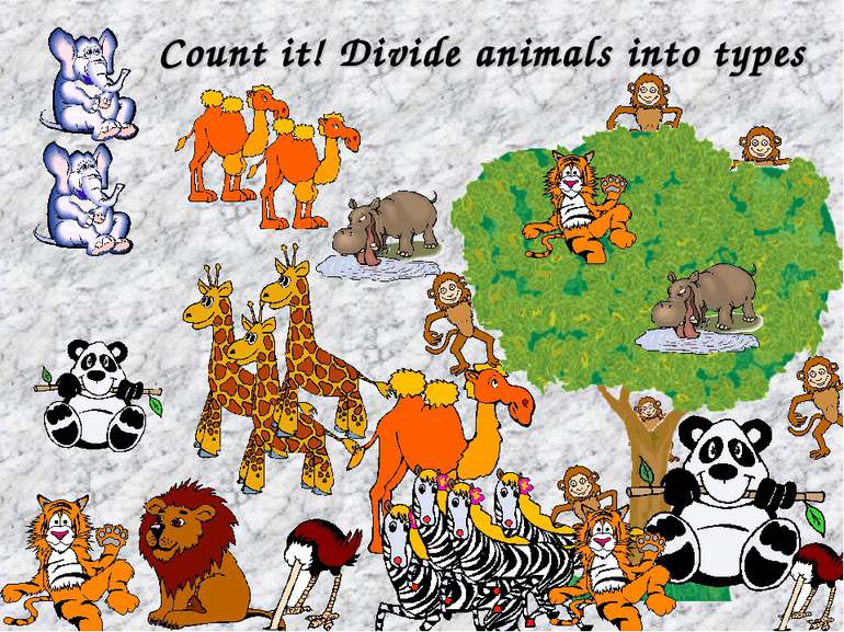 Count it! Divide animals into types