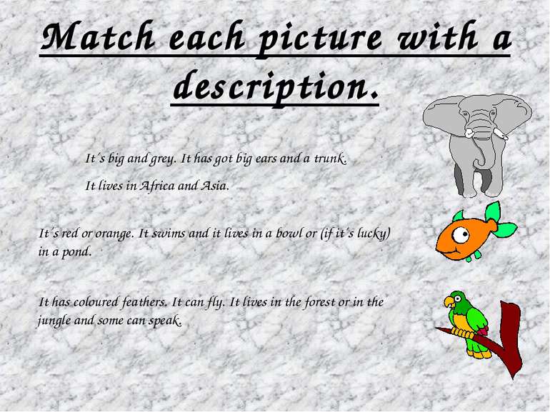 Match each picture with a description. It´s big and grey. It has got big ears...