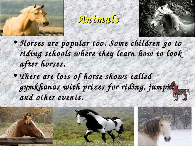 Animals Horses are popular too. Some children go to riding schools where they...