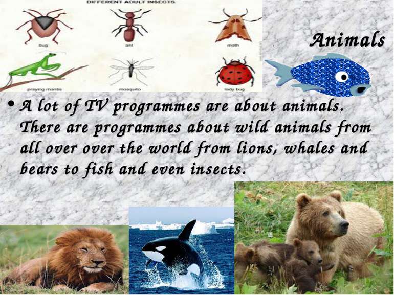 Animals A lot of TV programmes are about animals. There are programmes about ...