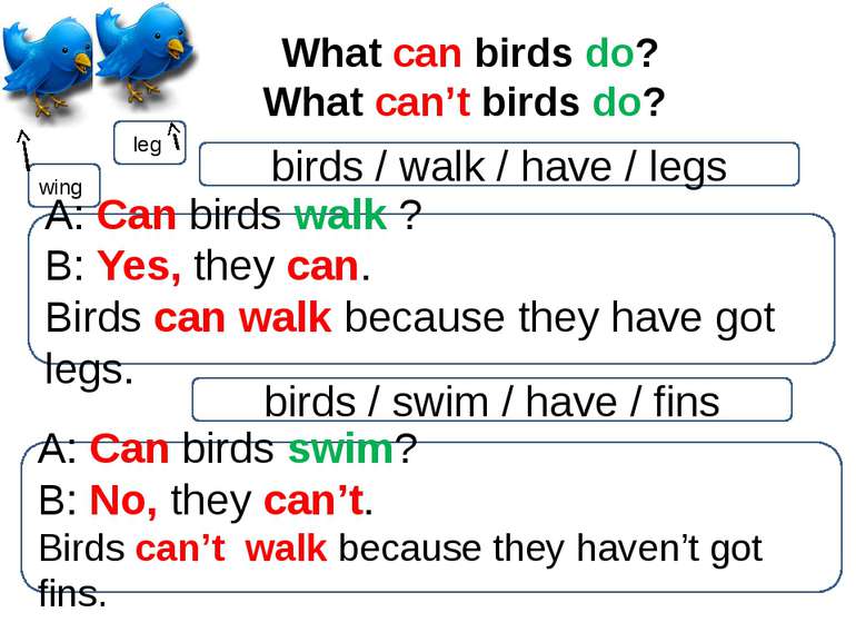 What can birds do? What can’t birds do? leg wing birds / walk / have / legs A...