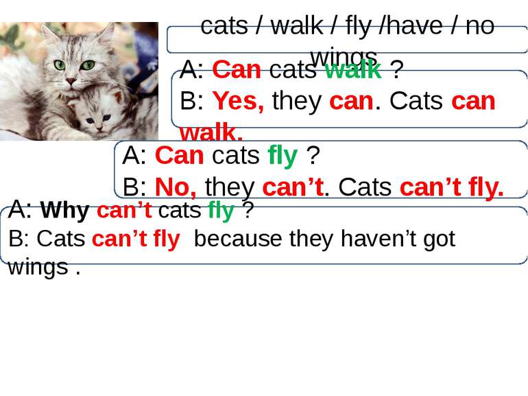 cats / walk / fly /have / no wings A: Can cats walk ? B: Yes, they can. Cats ...