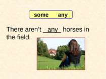 There aren’t _____ horses in the field. any 7-8 Let’s Practice some any