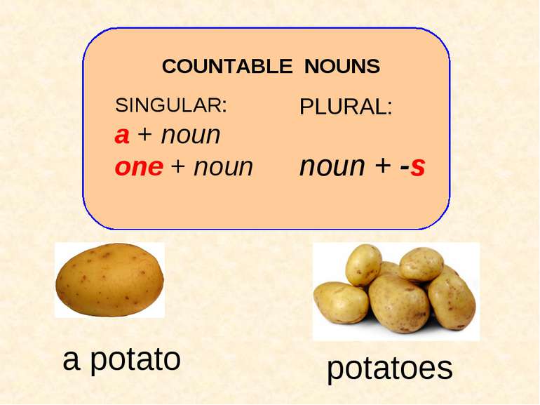 SINGULAR: a + noun one + noun PLURAL: noun + -s COUNTABLE NOUNS potatoes a po...