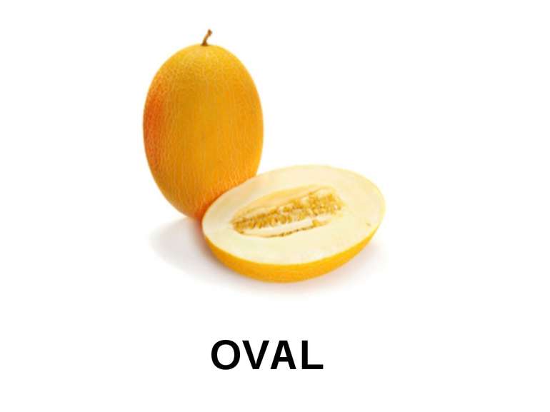 OVAL