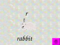 r rabbit