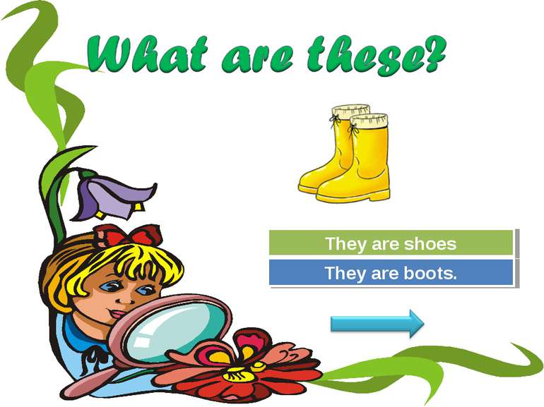 Try Again Great Job! They are shoes They are boots.