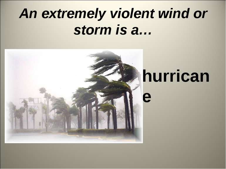 An extremely violent wind or storm is a… hurricane