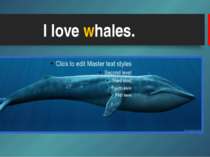 I love whales.