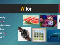 W for Wendy Flower Watermelon Whale Window Watch