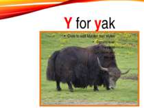 Y for yak