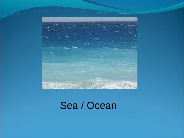 Sea / Ocean