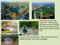 Central Park is called «the lungs of NY». There are lakes, nice green avenues...
