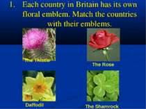 1. Each country in Britain has its own floral emblem. Match the countries wit...