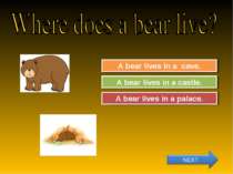 Try Again Great Job! A bear lives in a castle. A bear lives in a cave. Try Ag...