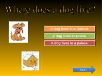 Try Again Great Job! A dog lives in a cave. A dog lives in a kennel. Try Agai...