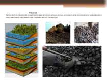 Утворення Кам'яне вугілля утворилося з продуктів розкладу органічних залишків...