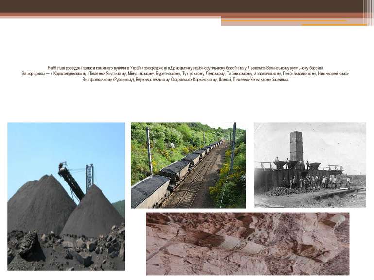 Найбільші розвідані запаси кам'яного вугілля в Україні зосереджені в Донецько...