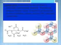 Сурфактанти (поверхнево-активні речовини) є основними компонентами шампунів. ...