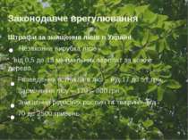 Законодавче врегулювання Штрафи за знищення лісів в Україні Незаконна вирубка...