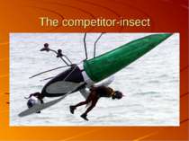 The competitor-insect