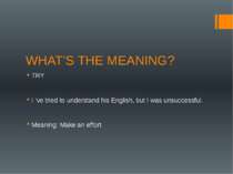 WHAT’S THE MEANING? TRY I ‘ve tried to understand his English, but I was unsu...