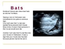 B a t s Medieval folklore also described bats as witches' familiars. Seeing a...