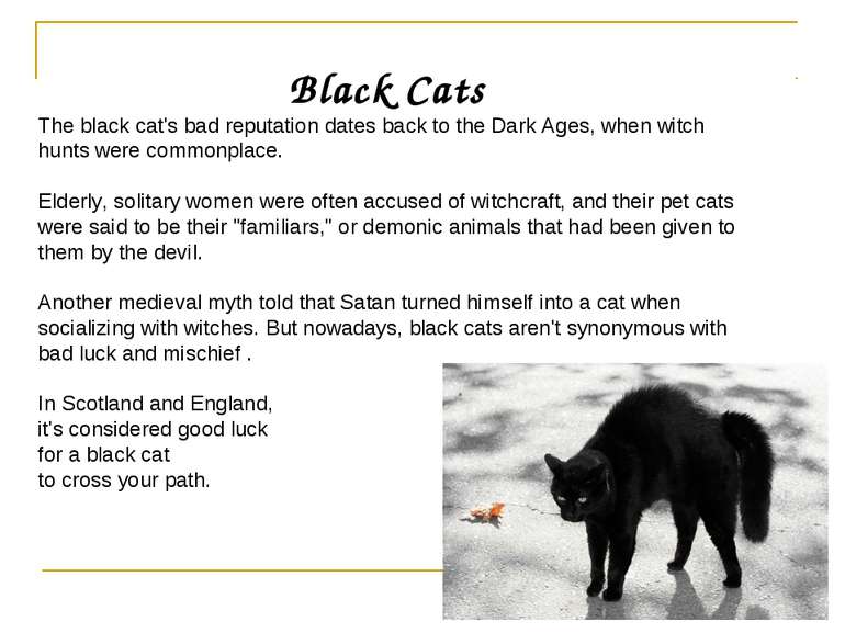 Black Cats The black cat's bad reputation dates back to the Dark Ages, when w...