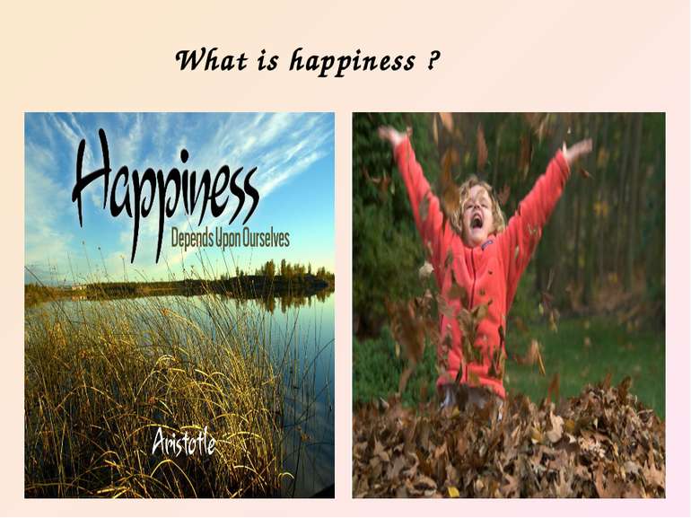 What is happiness ?