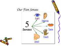 Our Five Senses