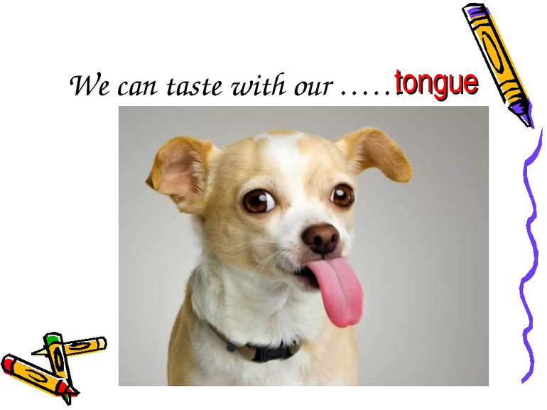 We can taste with our …… tongue